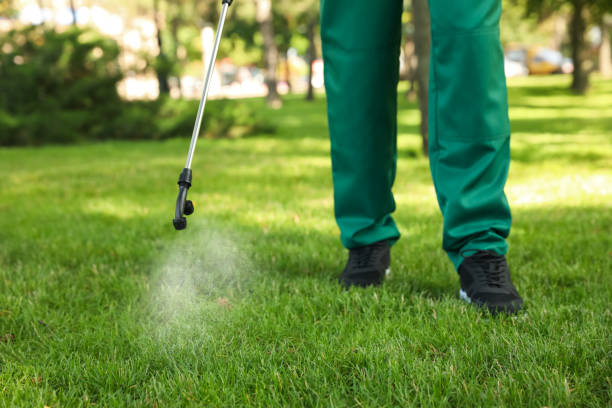 Best Pest Removal Services  in Ames Lake, WA